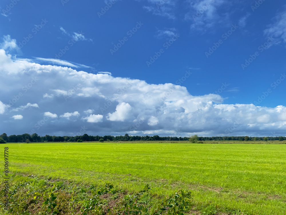 Typical Dutch cloudy sky. White clouds on a clear blue sky above a green meadow.