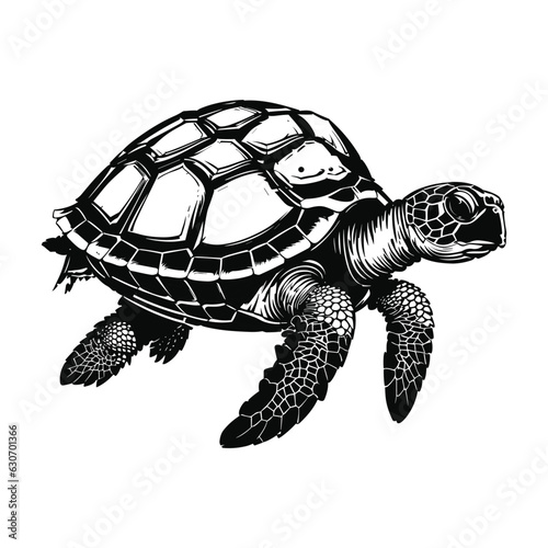 Turtle marine animal on background