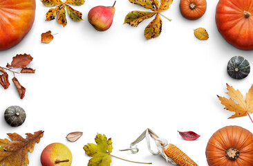 A collection of pumpkins, fruits, dried leaves and corn cobs forming a border, frame, layout isolated against a transparent background for thanksgiving fall and harvest festivals.