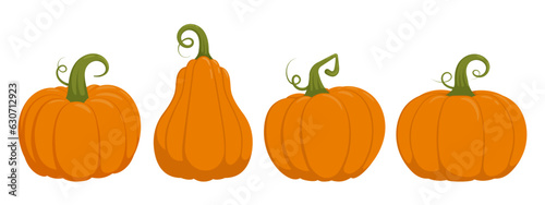 Autumn harvest cartoon pumpkin illustration set