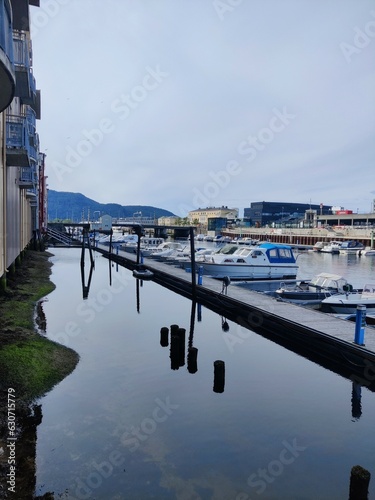 marina by a river