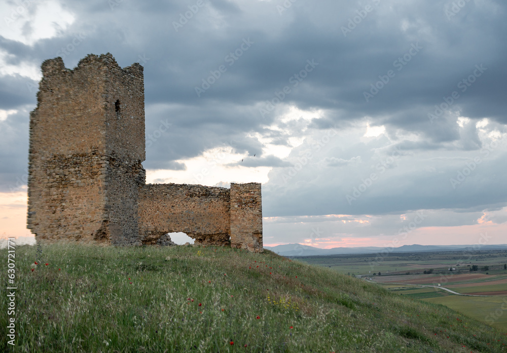 ature’s Embrace: A Peaceful Landscape of a Ruined Castle Tower
