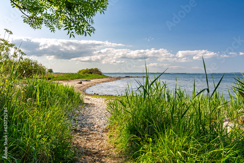 Fototapeta Naklejka Na Ścianę i Meble -  Scenic hiking trail alongside the Baltic Sea in Northern Germany