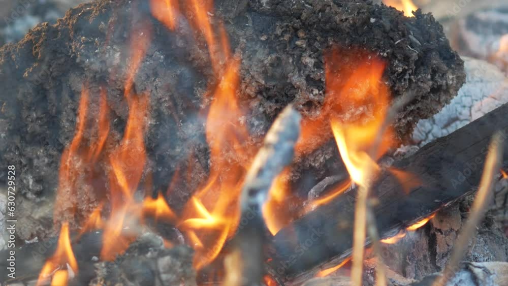 Firewood burning outdoors and the hot embers of burning wood log fire. Firewood burning outdoors and the hot embers of burning wood log fire.
