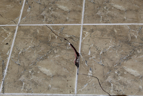 Crack and hole on the ceramic wall photo