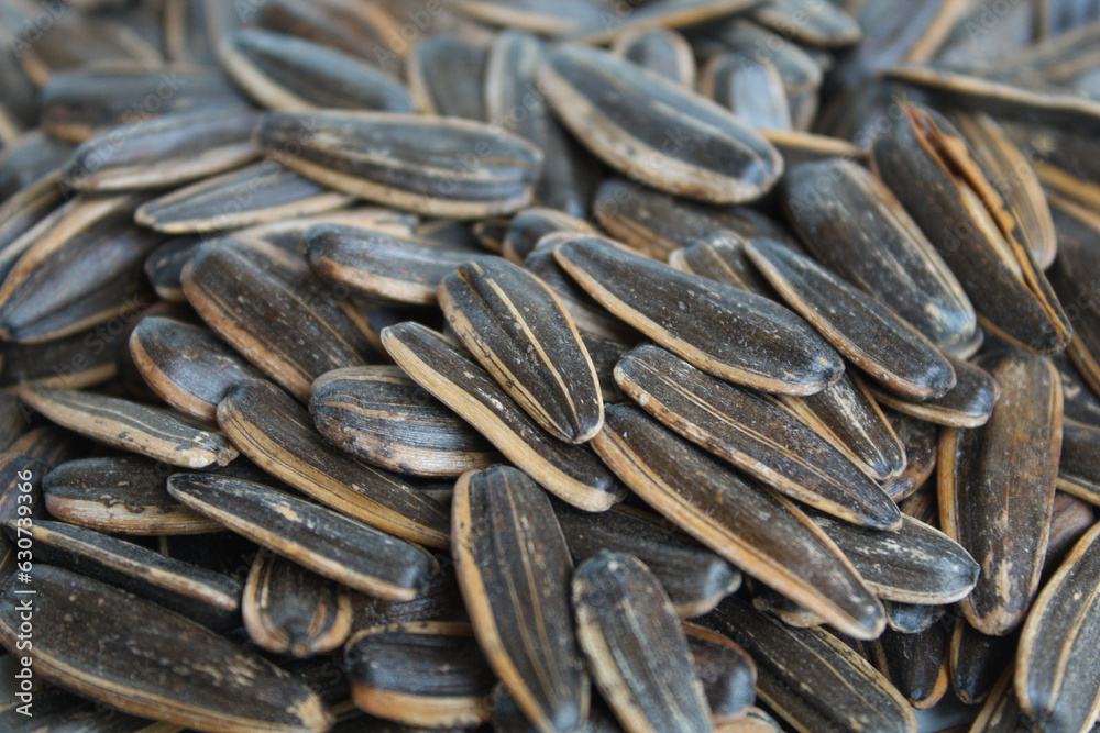 Sunflower seed with striped shell. Isolated on white background Sunflower seed with striped shell. Isolated on white background