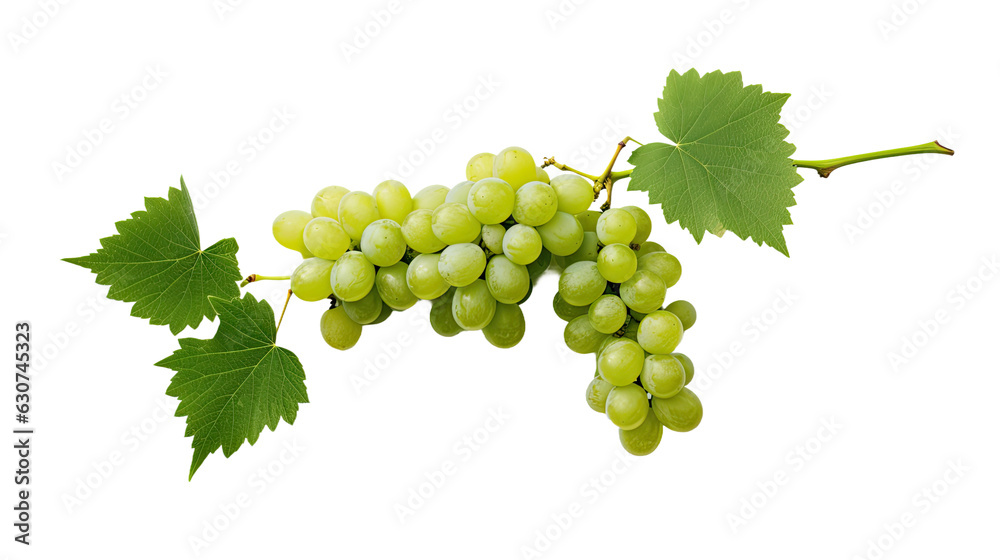 Green grapes with a leaf, set apart from their surroundings on a white backdrop. Green grapes with a leaf, set apart from their surroundings on a white backdrop.