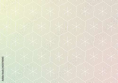 Hexagon smooth line minimal pattern presentation soft background