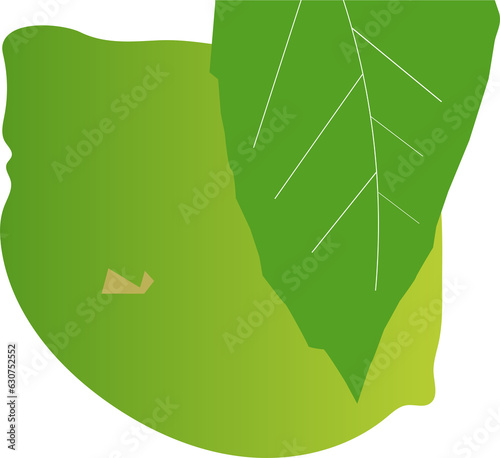 Illustration d'un citron
