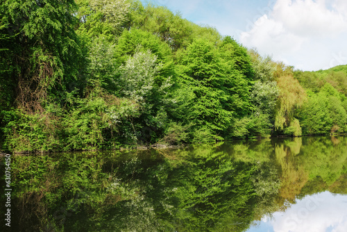 lake among the forest. nature landscape with reflection on the water in summer on a sunny day