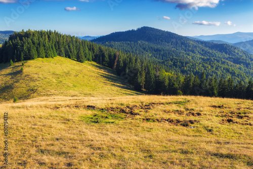 grassy meadow with forested hills. beautiful carpathian mountain landscape on a sunny day in autumn. apuseni national park, romania. distant ridge beneath a sky with clouds