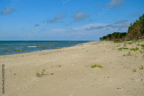 Fototapeta Naklejka Na Ścianę i Meble -  The sandy shore of the Baltic Sea. Wide coastal area and dunes