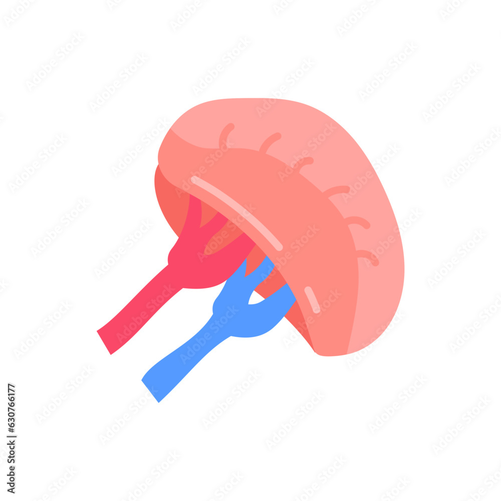 Spleen icon in vector. Illustration
