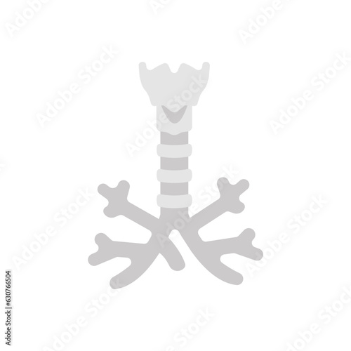 Trachea icon in vector. Illustration