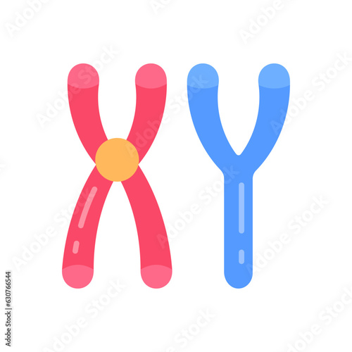 Valokuva Masculine Chromosomes icon in vector. Illustration