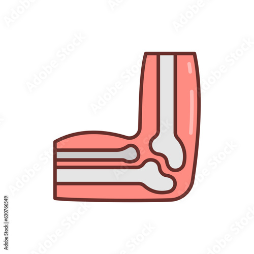 Elbow Bone icon in vector. Illustration