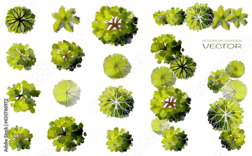 Vector set of Top view green tree for outdoor plan or map and architecture drawing, elements for environment and garden,botanical elements ,blooming flowers in spring