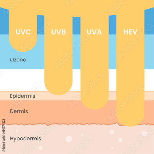 UV UVA UVB HEV skin protection. Sun radiation ultraviolet harmful rays stcok image vector. Sunburn skin layers, epidermis, dermis, hypodermis. Sunlight damage cancer risk. UV index chart, SPF cream