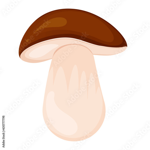 Mushroom isolated on white. Boletus cartoon vector illustration