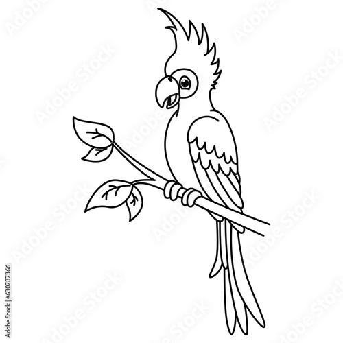 Awesome funny cockatoo parrot cartoon