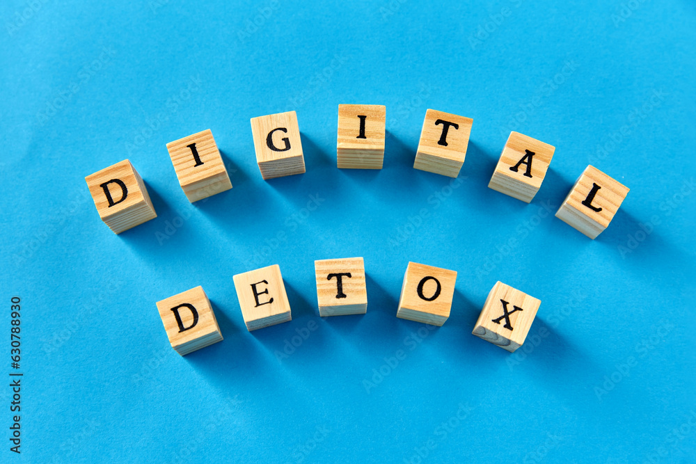 Obraz premium technology concept - digital detox words made of wooden toy blocks or stamps on blue background