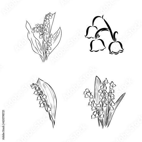 Lily of the valley flower minimalistic drawing