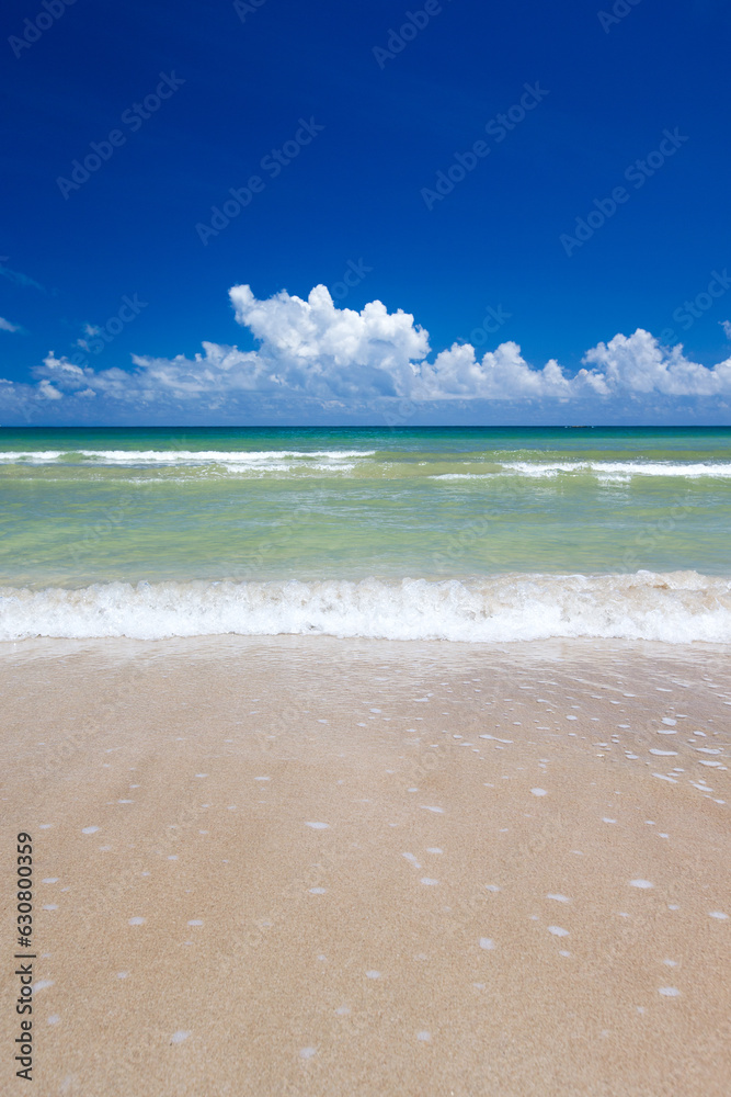 Fototapeta premium beautiful beach and tropical sea