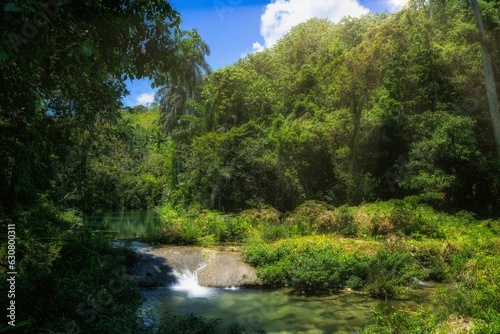 Scenic horizontal view of the San Juan River in Matanzas  Cuba