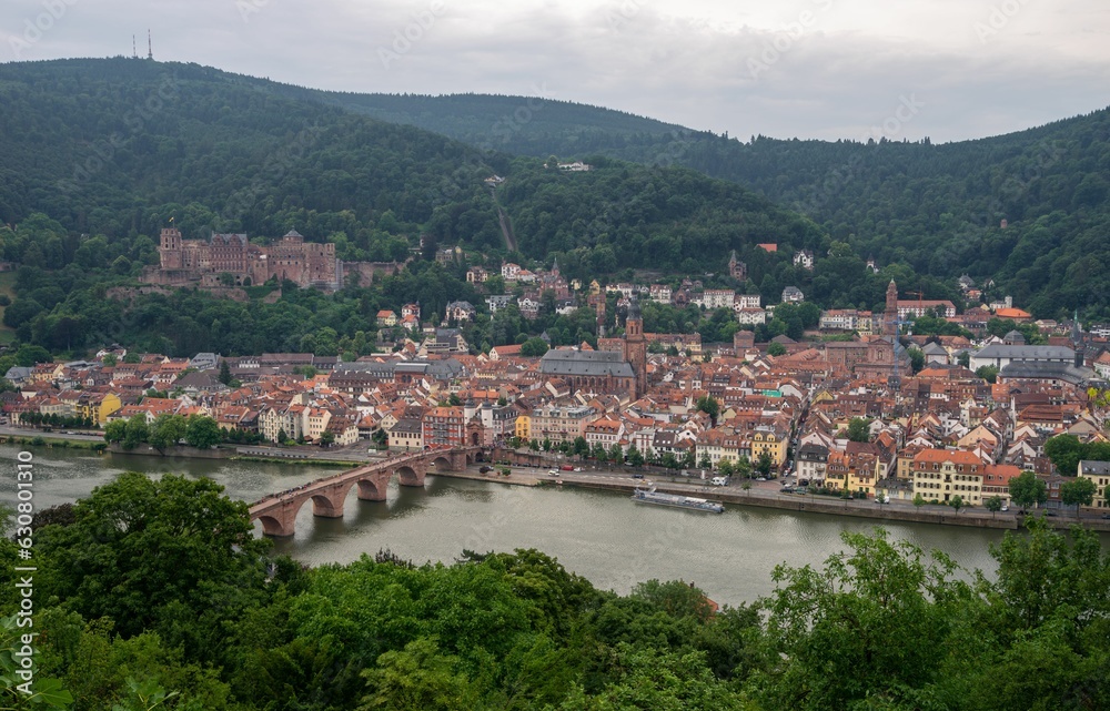 Scenic cityscape of Heidelberg with green mountains. Germany.
