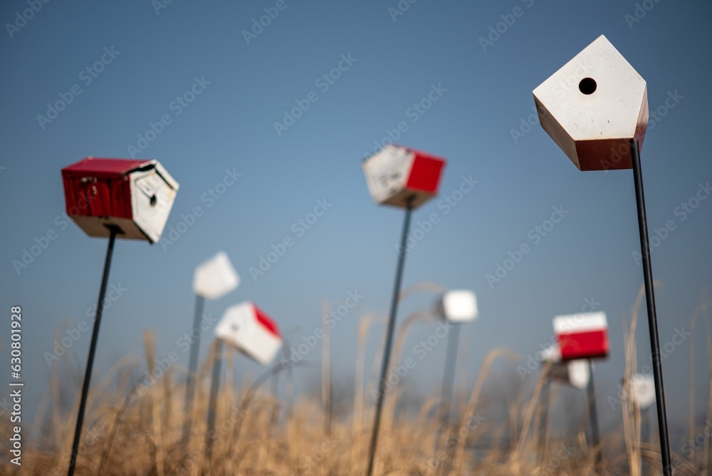 Landscape shot of red and white birdhouses standing in a grassy field against a blurred background