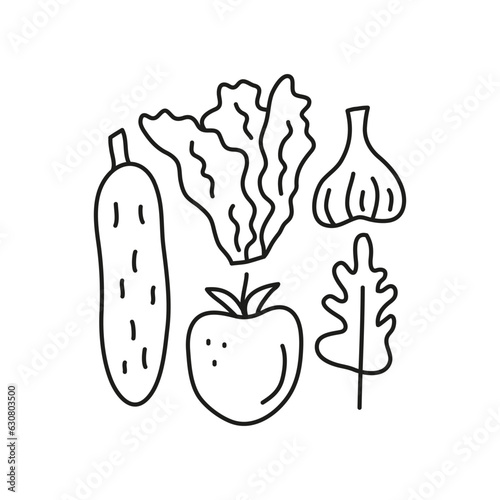 Group of doodle vegetables.