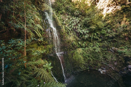 Aerial shot of a beautiful waterfall cascading through a tropical rainforest in Madeira  Portugal