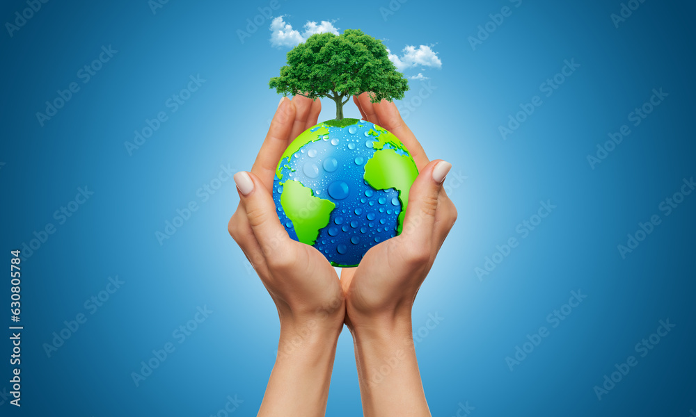 Tree Earth Hand Human hands holding earth on meadow and blue sky.. Man holding Tree in ...