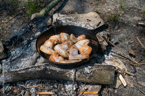 cooked chicken wings sitting in the middle andersen over a campfire photo