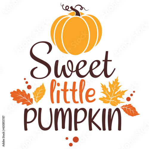 Sweet little pumpkin vector illustration with cute pumpkin.  Autumn vector design good for invitation, T shirt print, poster, card, sticker, label. My first Thanksgiving baby design
