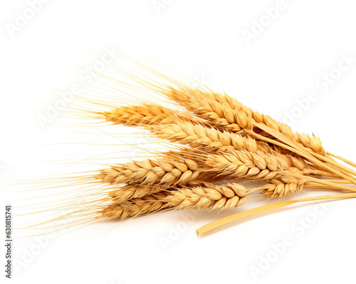 ears of wheat