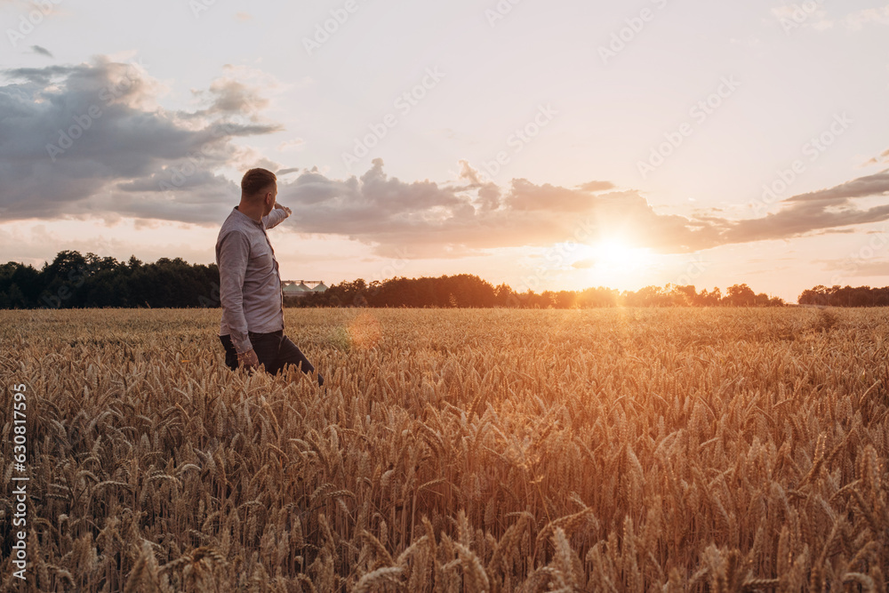 Wheat field at sunset. Agriculture concept, a farmer in the field checks the quality of the crop. Front view