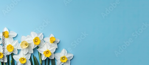 A concept for a greeting card featuring a border of beautiful narcissus flowers on a blue background, with space for text. It could be used for Mother's Day or any other occasion.