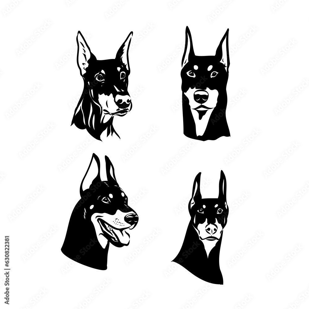 Vector illustration of cute doberman cartoon Vector illustration of cute doberman cartoon
