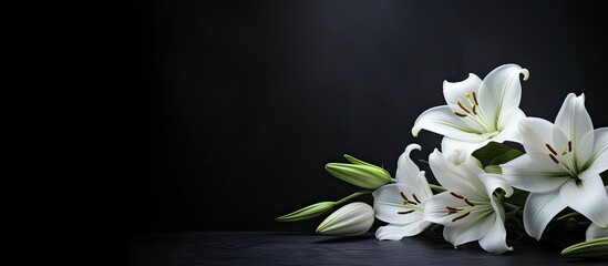 A banner with a dark background and white lily flowers. mourning is depicted through the imagery. Remembering and mourning are emphasized. The photo has a close-up, side view with selective focus