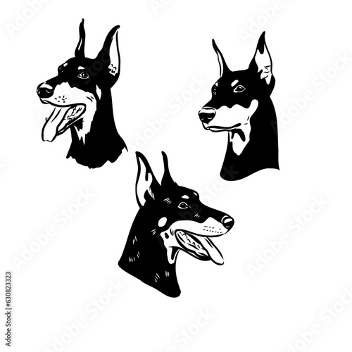 Vector illustration of cute doberman cartoon