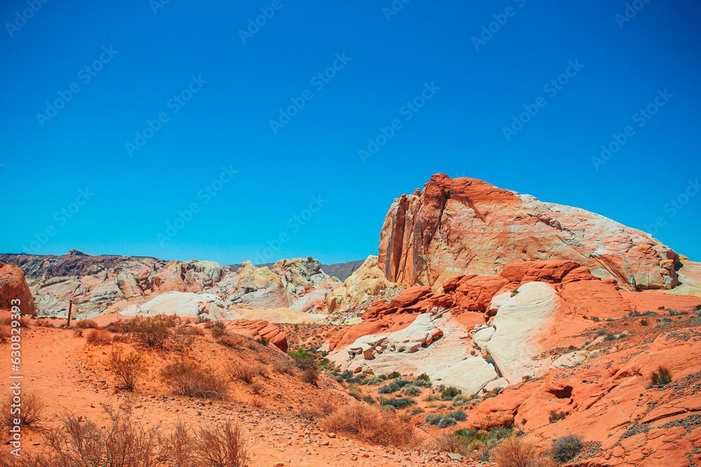 Fototapeta premium Valley of Fire State Park in Nevada, USA