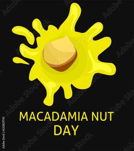 vector illustration. splash of macadamia oil, national macadamia nut day