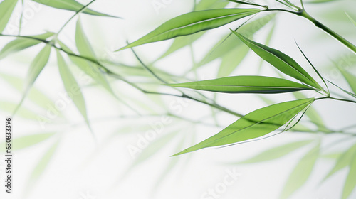 Tranquil Background of Lush Green Bamboo Leaves