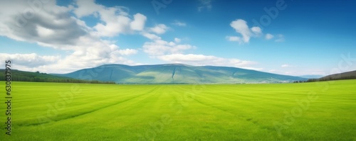 Panoramic natural landscape with green grass field  blue sky with clouds and and mountains in background. Panorama summer spring meadow. Shallow depth  Generative AI