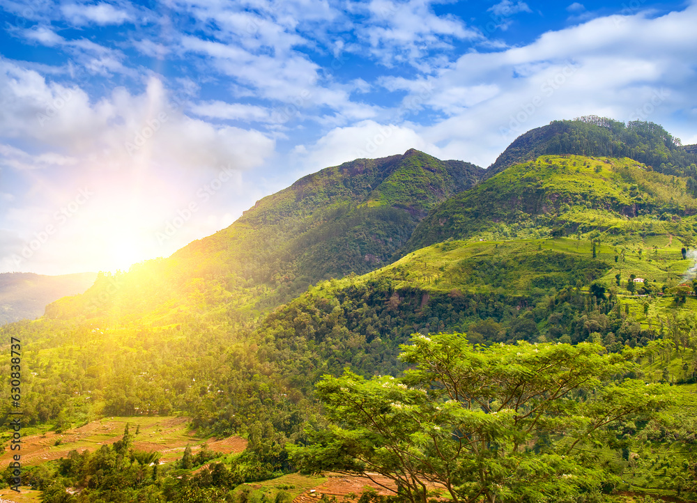 Picturesque mountain slopes with tropical plants and a bright sunrise. Sri Lanka.