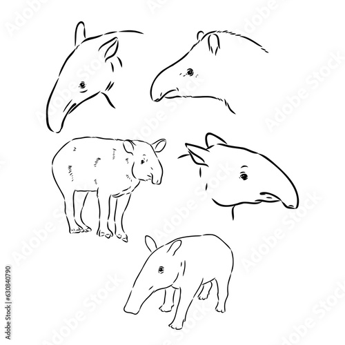 Tapir animal sketch engraving vector illustration. Scratch board style imitation. Hand drawn image.