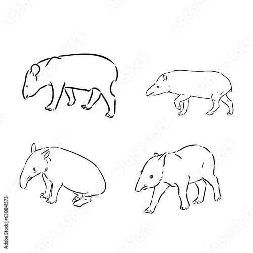Tapir animal sketch engraving vector illustration. Scratch board style imitation. Hand drawn image.