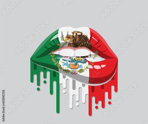 Sweet Lips Colorful Grime Mexico Pride Flag 