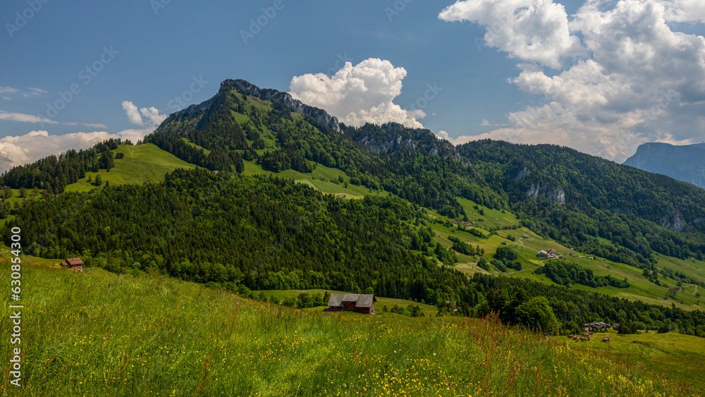 Rigi Scheidegg - ein Berggipfel des Rigi-Massivs am Vierwaldstättersee in der Schweiz
